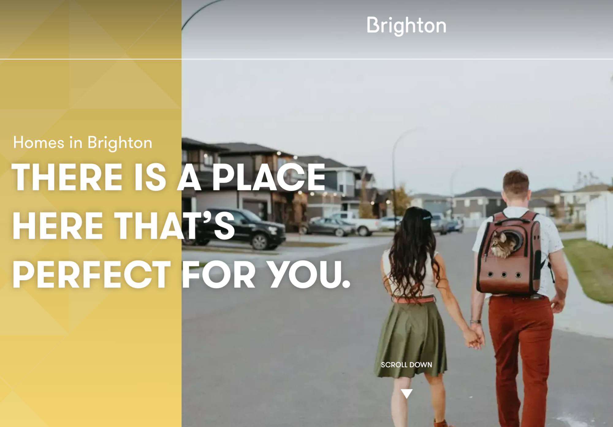 Brighton neighbourhood